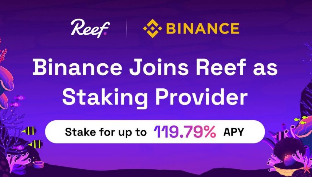 reef-binance-staken tron algo shiba polkadot staking flexible binance