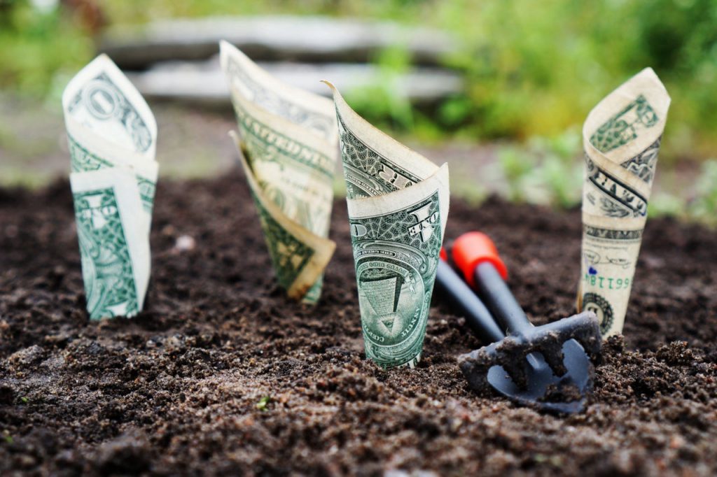 best staking rewards crypto review conclusion