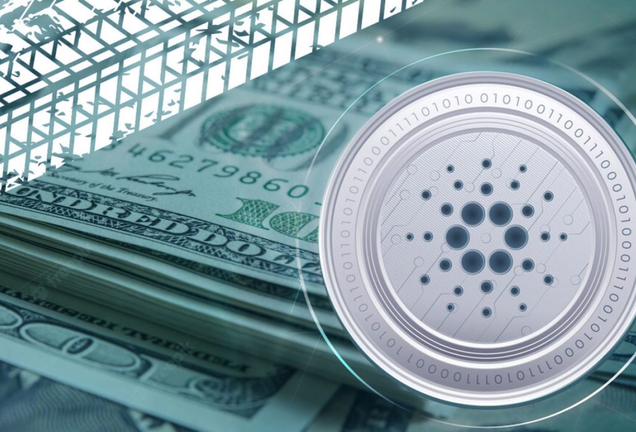 digital-coins experienced digital coins staking investor