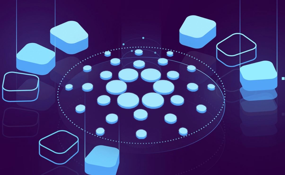 top undervalued altcoins