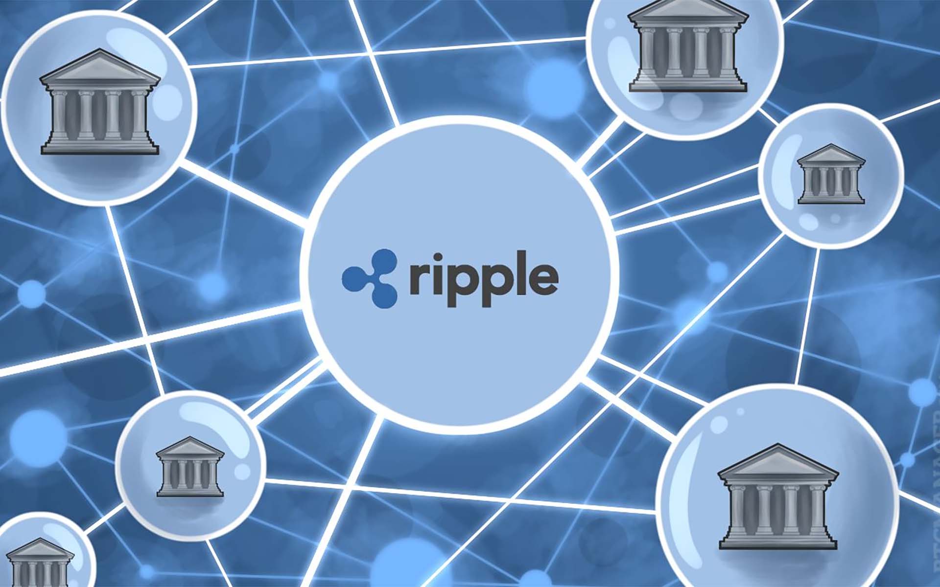 xrp top undervalued crypto coins
