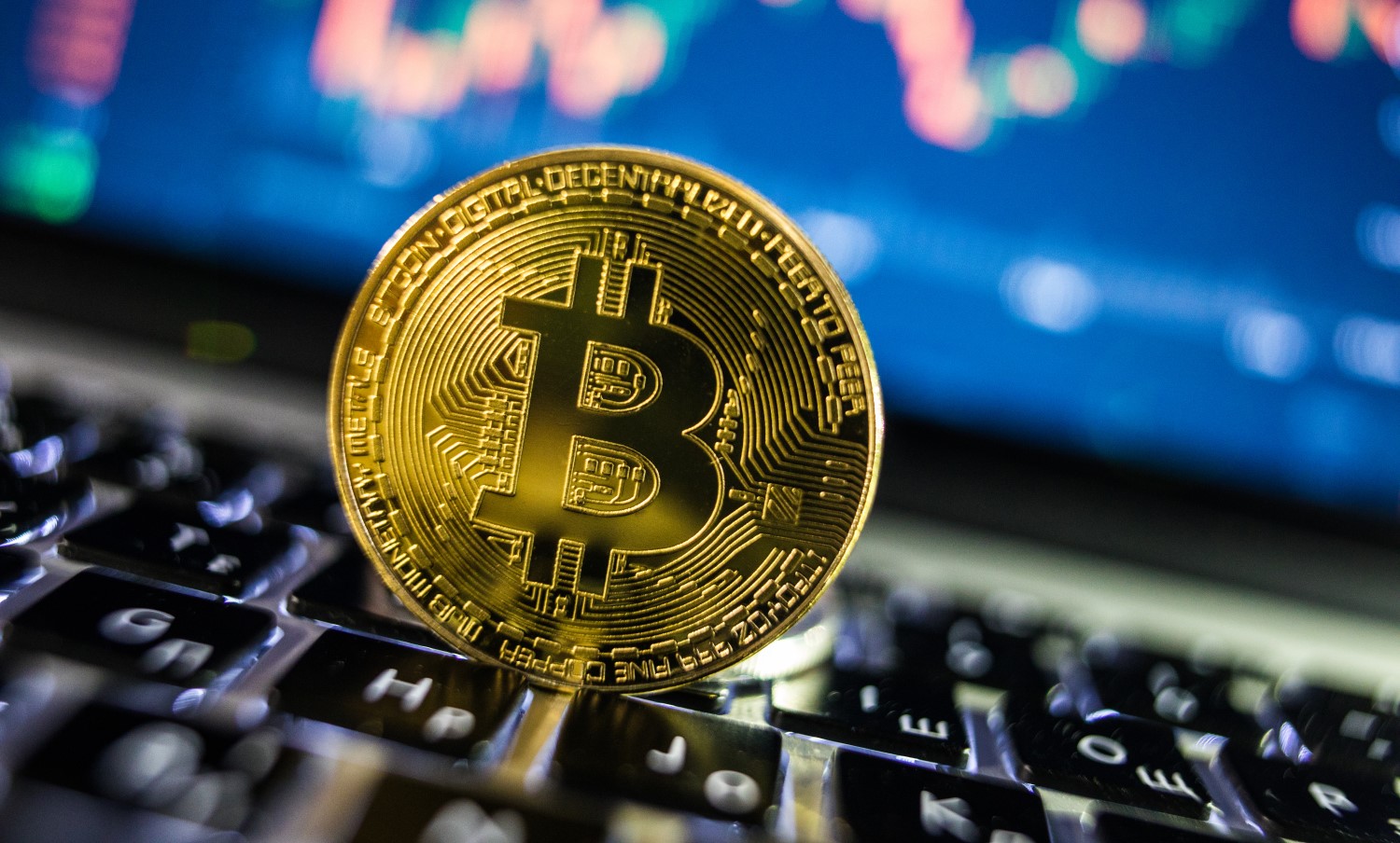 best cryptos for long term investment