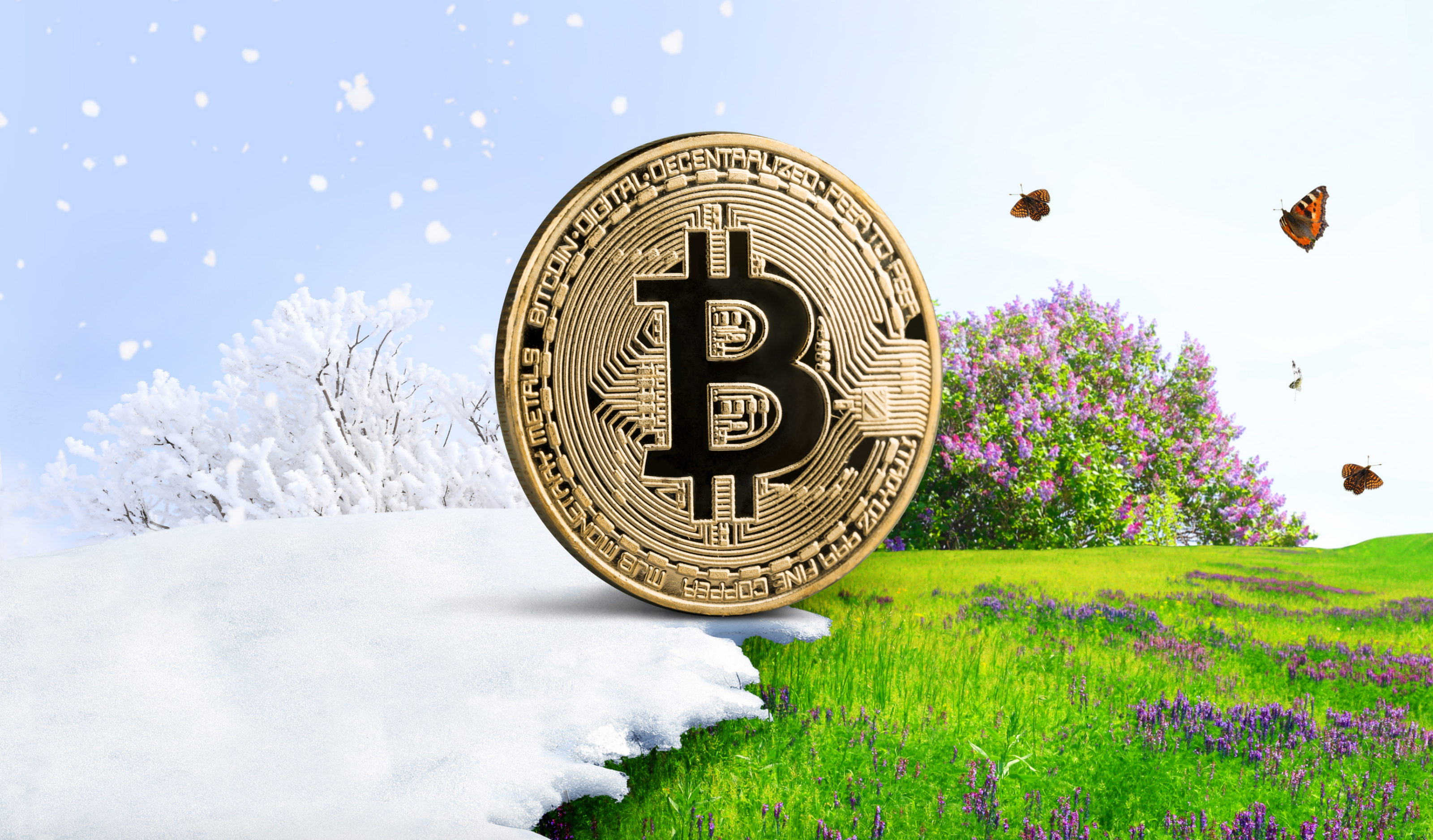 best new crypto coins long term investment