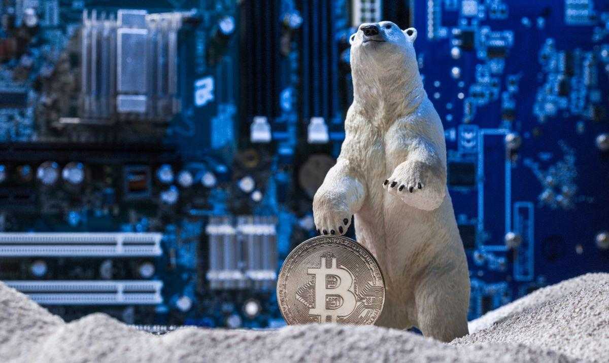 cryptocurrency winter is coming crypto