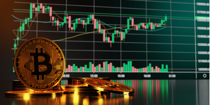 crypto bull and bear markets