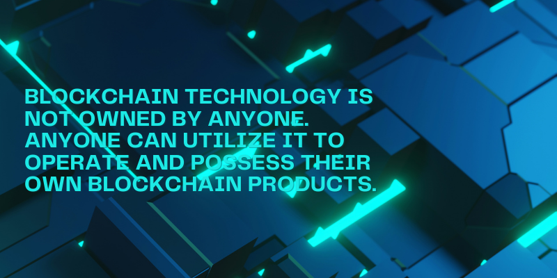 blockchain-for-dummies-explained-who-owns-controls-blockchain